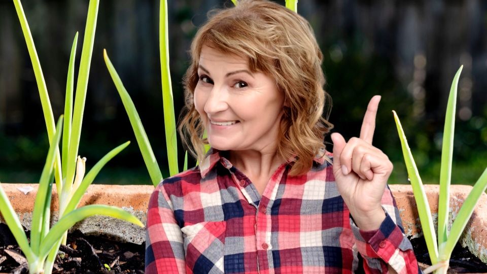 Воткнуть и забыть: вы тоже ошибаетесь, когда выращиваете зеленый лук на подоконнике