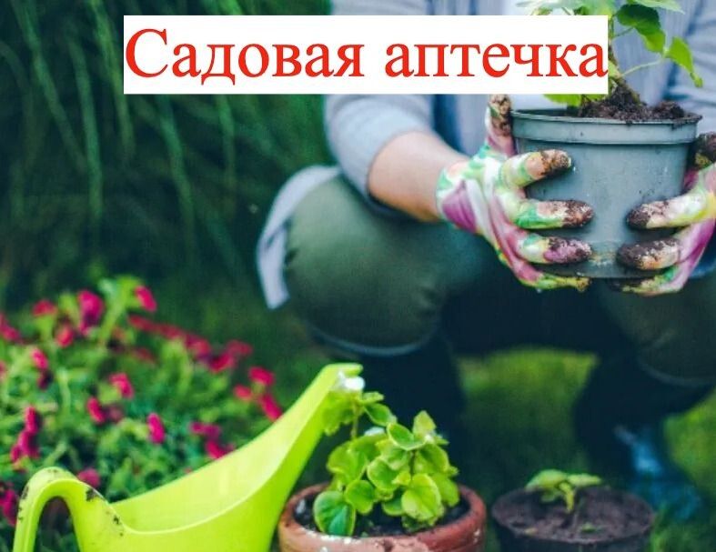      :   