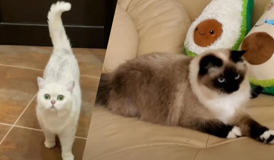      :     