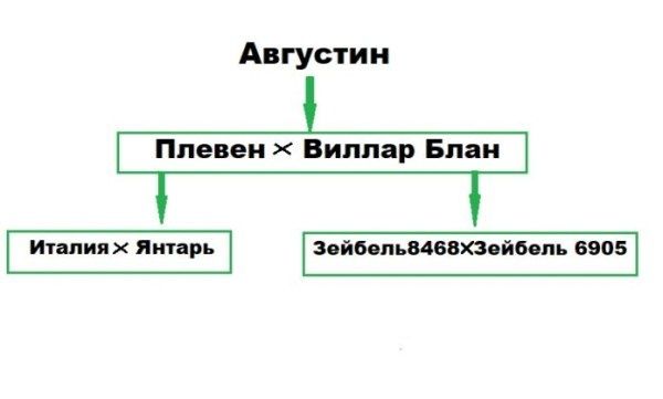  : ,      