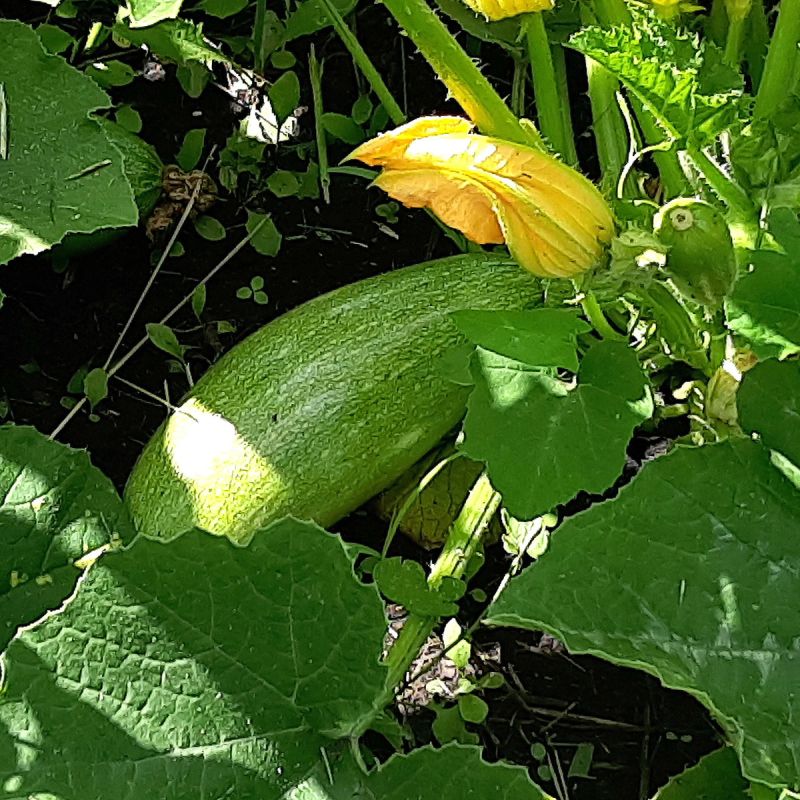 10    ,   