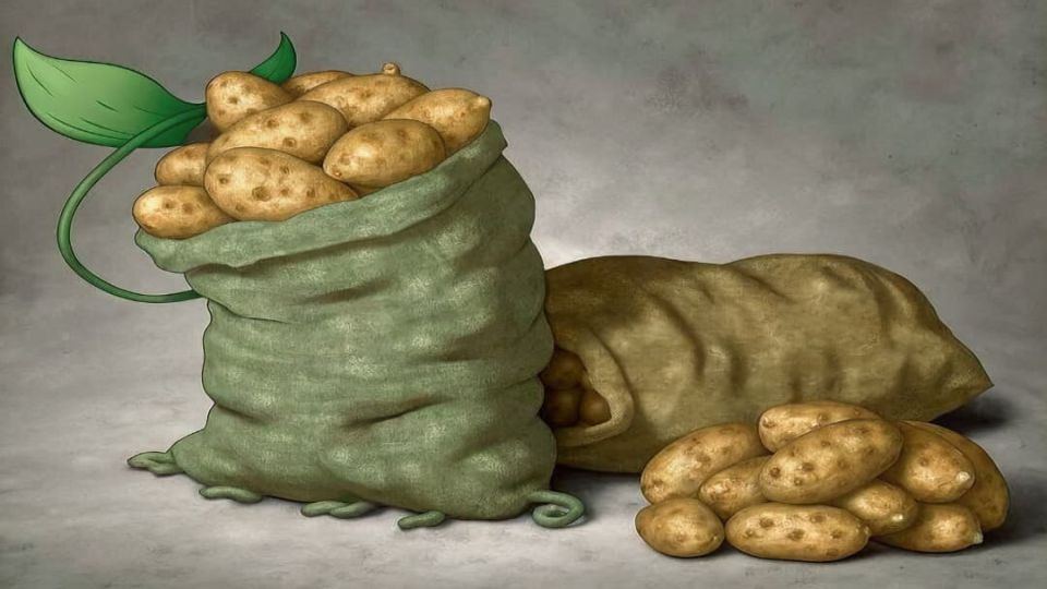      :    