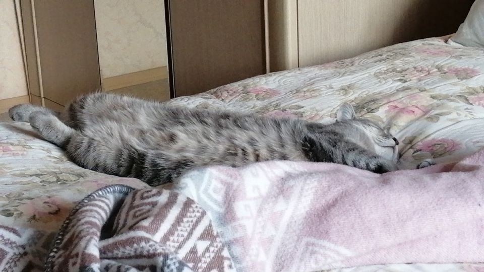 --:   