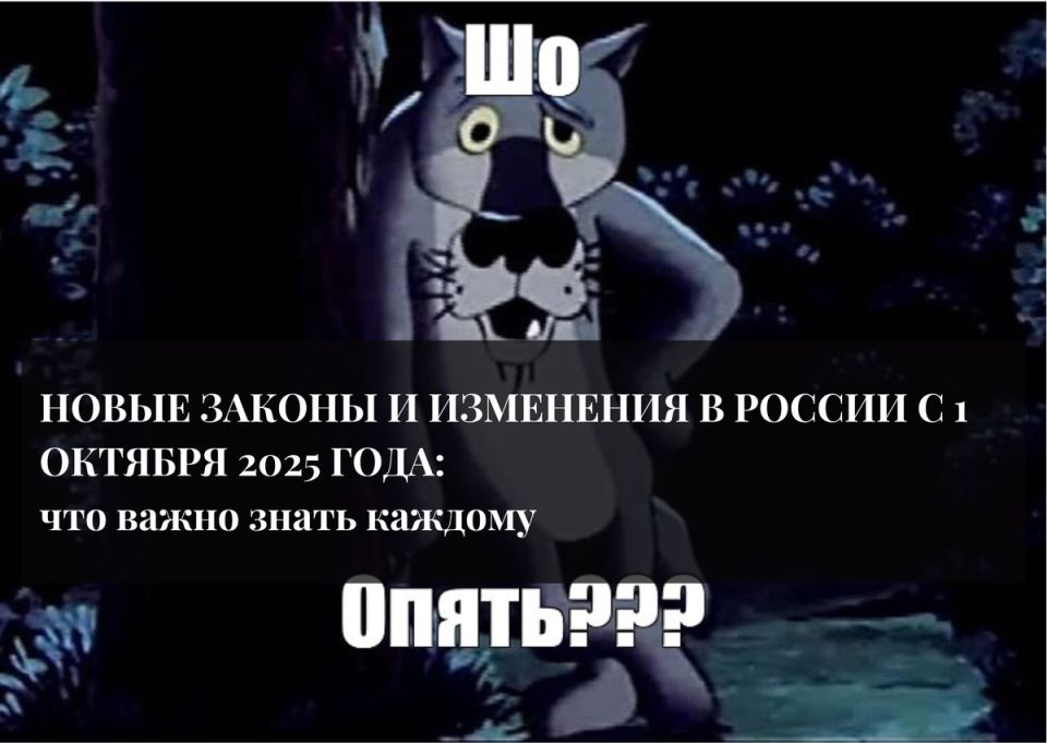      :    2025 