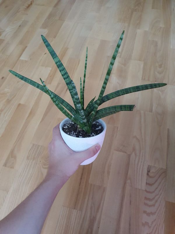 :      