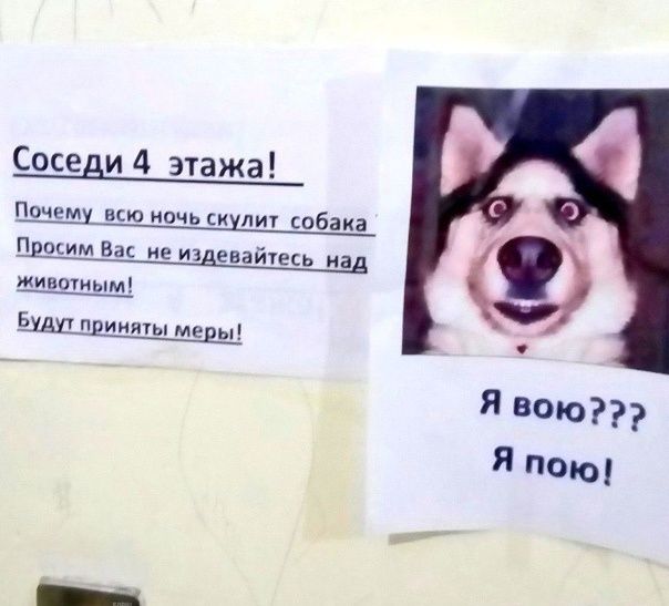     :  ?
