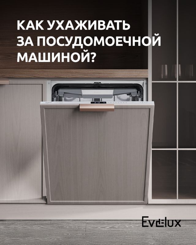       Evelux