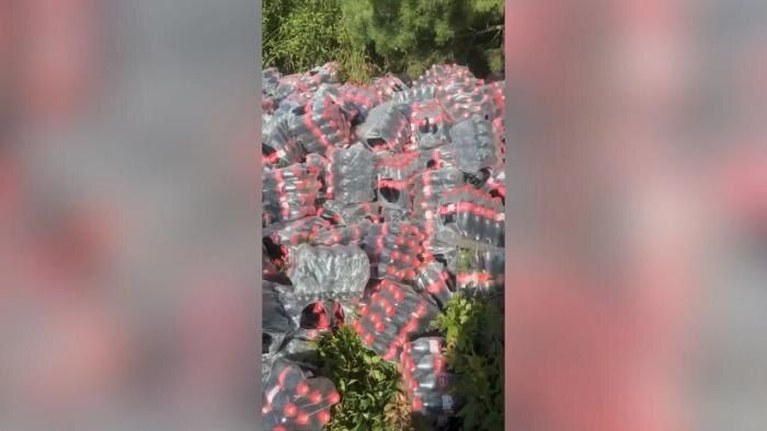  :       Coca-Cola