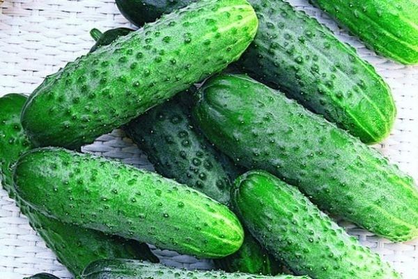 Огурец Игрушка: секреты успеха и восхитительного вкуса