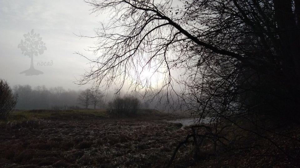 Как славяне отмечали Велесову ночь: традиции и значение