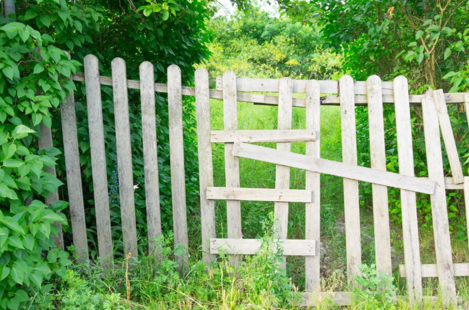 15 дачных нарушений, которые могут обернуться штрафом в миллион рублей