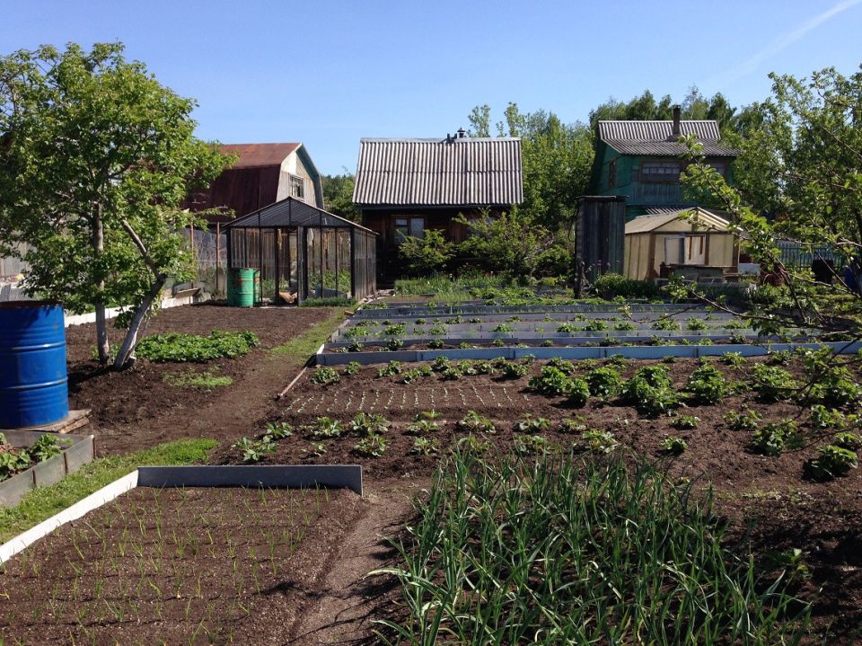 Владельцы участков: как избежать штрафов за неосвоенную землю в 2025 году