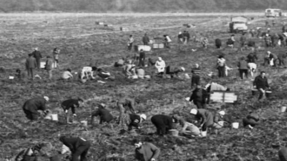 Погружение в прошлое: воспоминания, которые греют душу