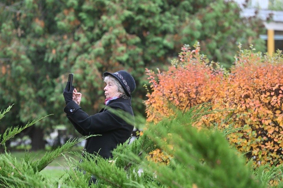 Цифровые удостоверения: новое слово в подтверждении льгот для российских пенсионеров