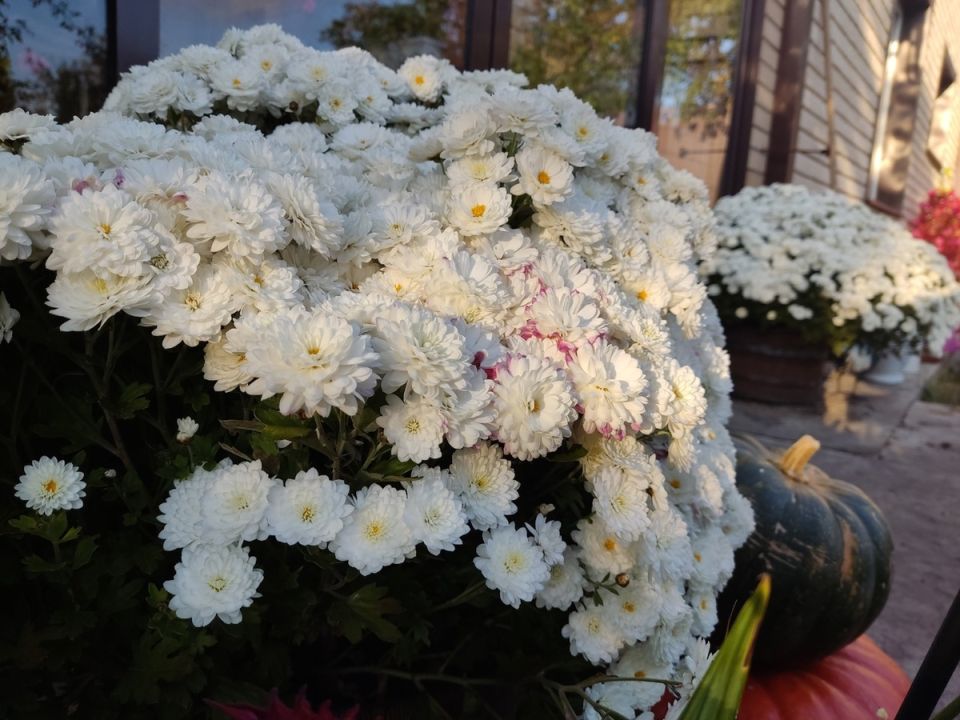 Неопытность или недосмотр? Почему важно читать до конца