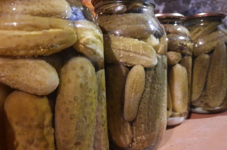 Какой сорт огурцов идеально подойдет для засолки: знает не каждая хозяйка