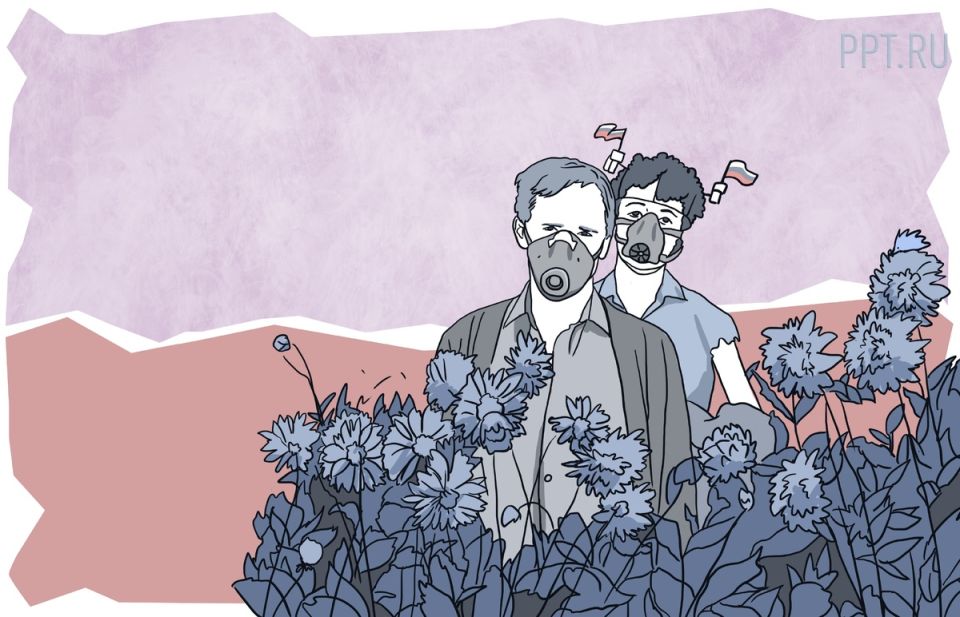 Сорняки на даче могут стоить участка: как не оказаться в беде