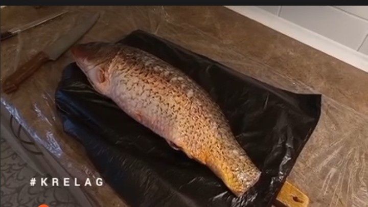 Сазан в томатном соусе с пастернаком: осенний кулинарный шедевр