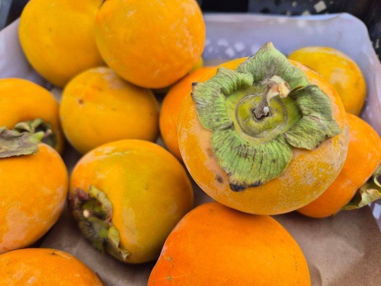 Зараженная хурма из Узбекистана: в Оренбуржье остановлен опасный груз