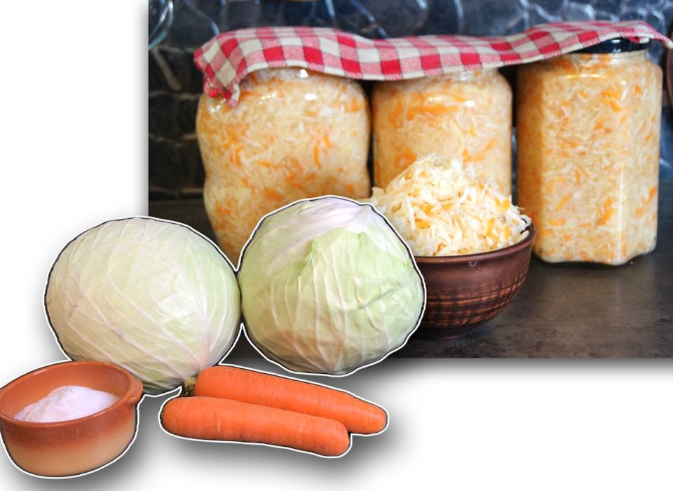 Как выбрать идеальный сорт капусты для хрустящей квашеной закушки