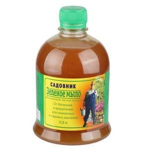 Фунгициды для комнатных растений: как выбрать подходящий препарат