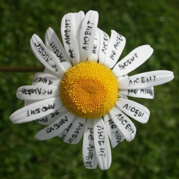 Нельзя ли все же приворожить? Пять причин, чтобы задуматься дважды