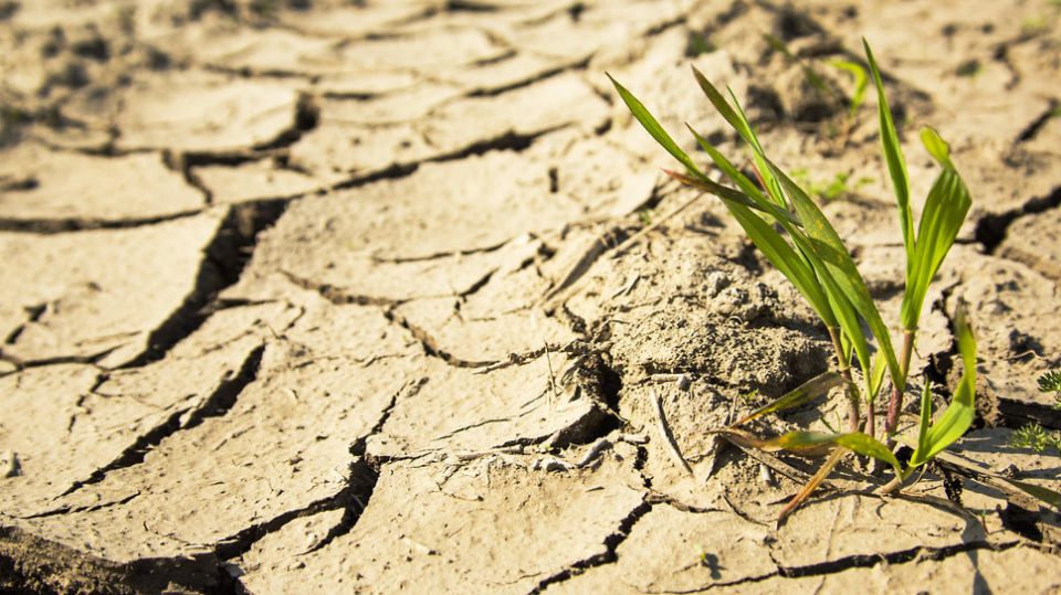 Вода как финансовый риск: центральные банки адаптируются к новым вызовам