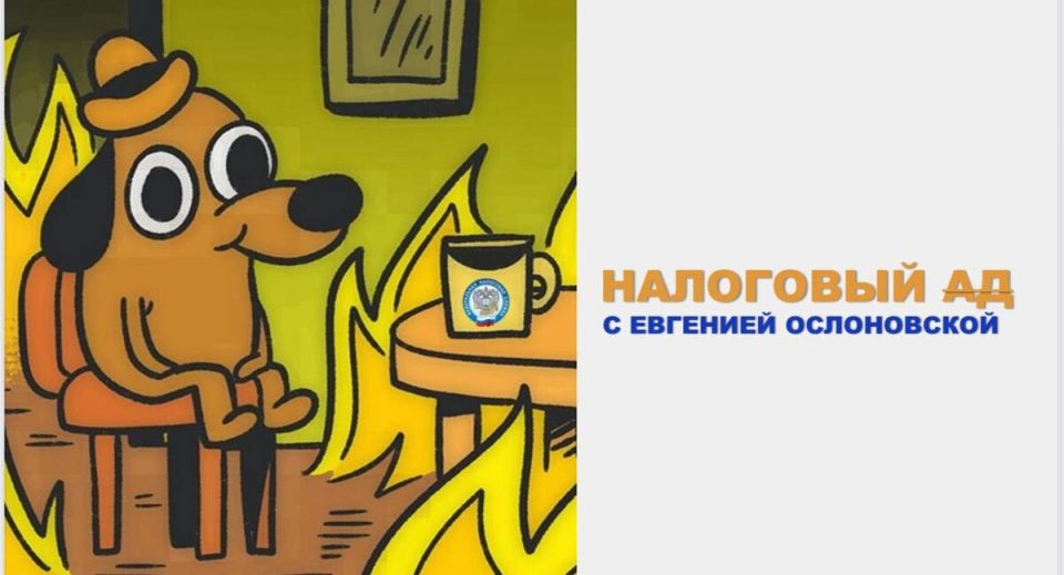 Что ожидать от нового законопроекта: налоговые изменения 2025 года