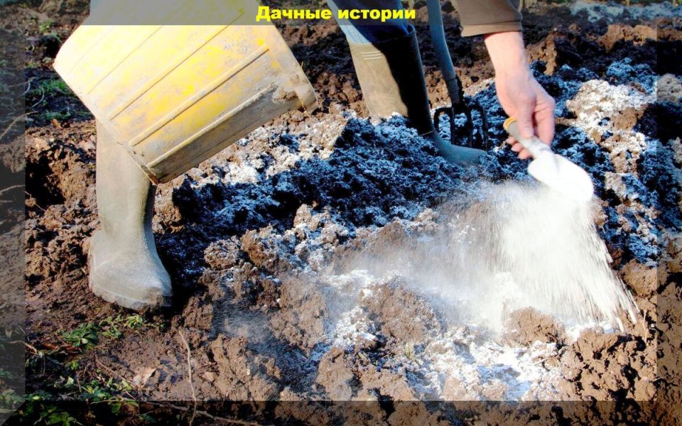 Как правильно известковать почву: секреты успешного урожая