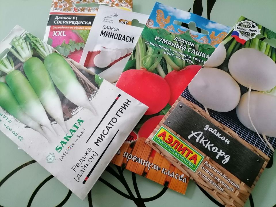 Тайны редьки: как выбрать идеальный сорт для вашего огорода