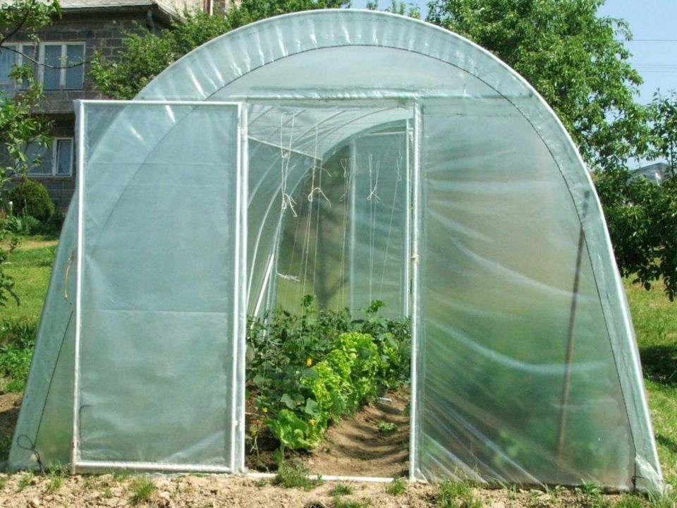 Гаджеты для дачи: альтернативы теплице, которые помогут вырастить отличный урожай