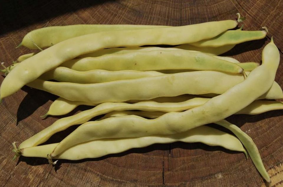 Заготовки из спаржевой фасоли: шесть простых рецептов для зимнего стола