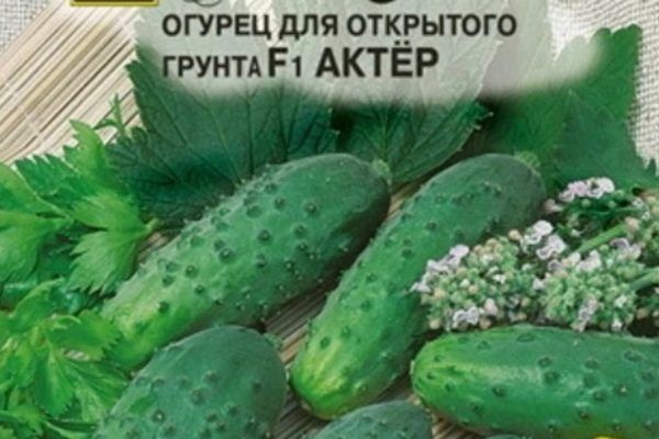 Огурцы Актёр: секреты успеха и особенности ухода
