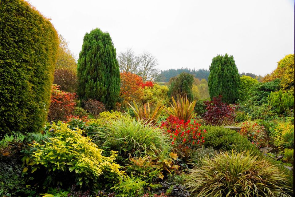 Как правильно подкармливать садовые растения: секреты успешного роста