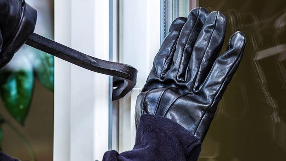 Дачные кражи активизировались: как защитить свой урожай и имущество