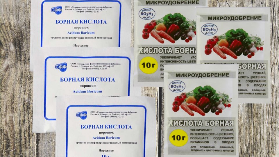 Как борная кислота может преобразить ваш огород: секреты успеха