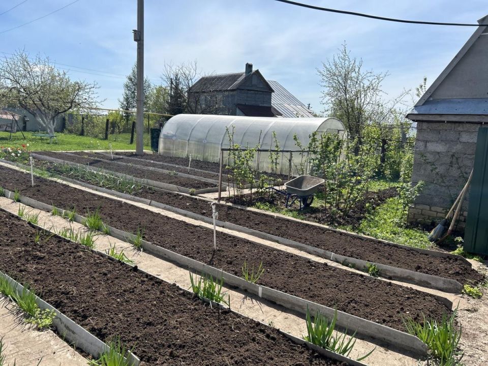 Почему пластиковые опоры для растений могут погубить ваш урожай