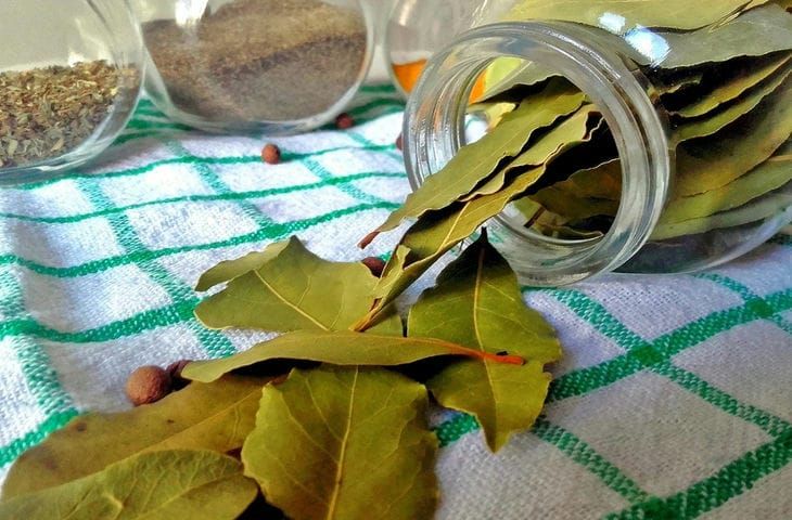 Вот почему все кладут лавровый лист в шкаф: это не для моли