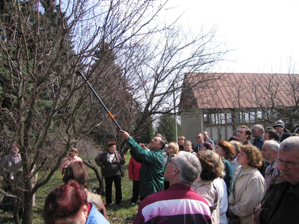 Что нужно знать о сроках обрезки сада: советы профессионалов