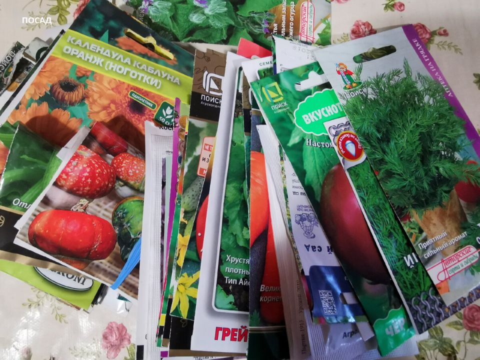 Как организовать идеальное хранение семян: полезные советы для каждого садовода