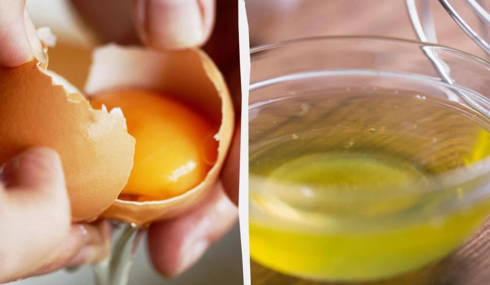 Открытия ученых: чем яйца полезны для здоровья и что выбрать — желток или белок?