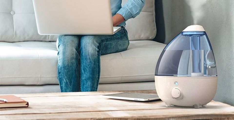 Зима и сухость воздуха: что делать?