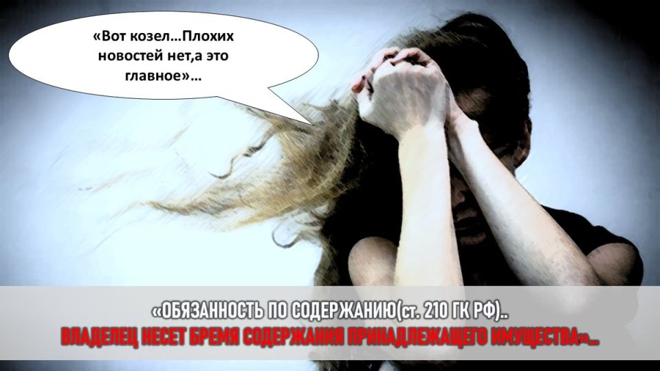 Кот Матвей и два дня ужаса: как исчезновение питомца чуть не привело к судебным разбирательствам