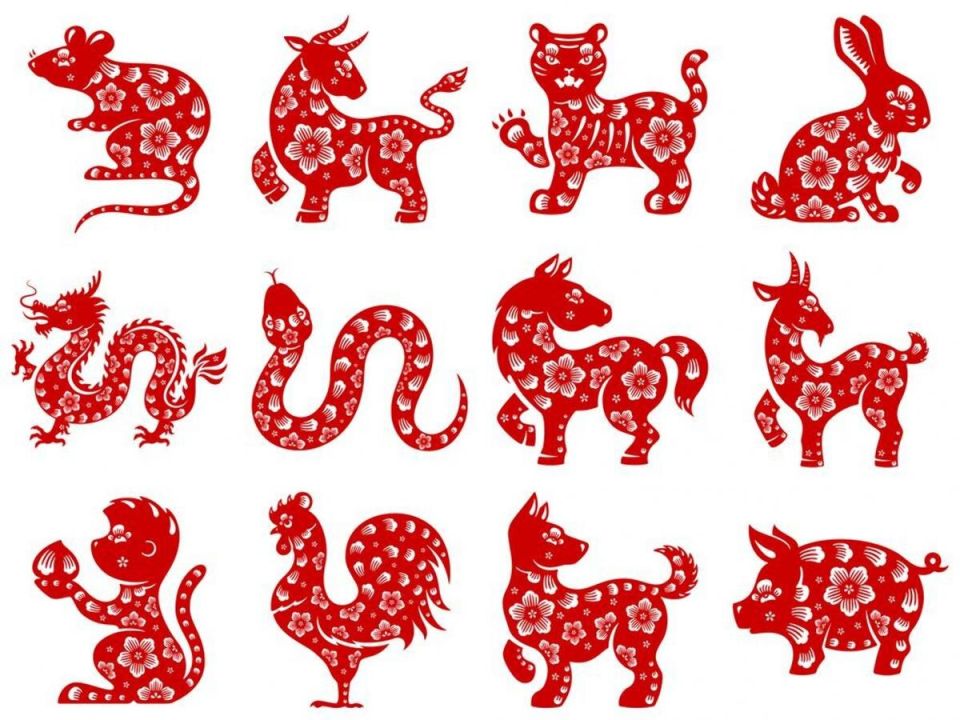 Шесть знаков Зодиака, которые вскоре ожидают удача и благополучие