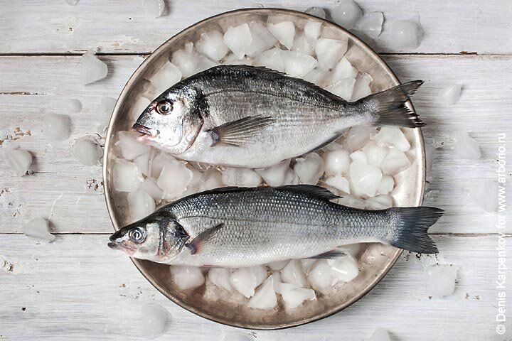 Секреты идеального хранения рыбы: как продлить свежесть и вкус