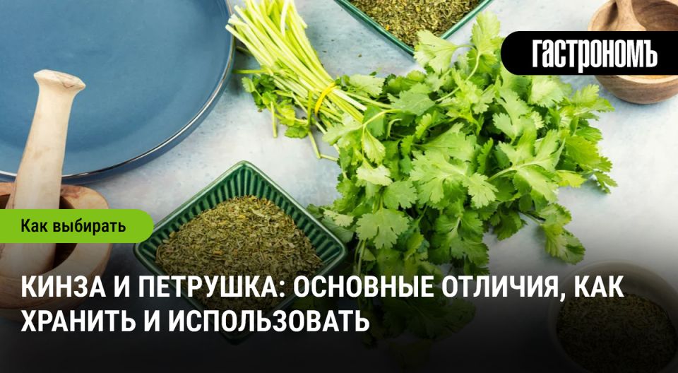 Кинза и петрушка: как отличить и правильно хранить зелень