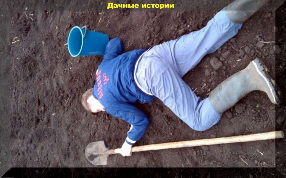 Как светильники для растений помогают добиться идеального урожая