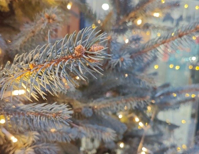 Как россияне встретят Новый год с повышенными пенсиями