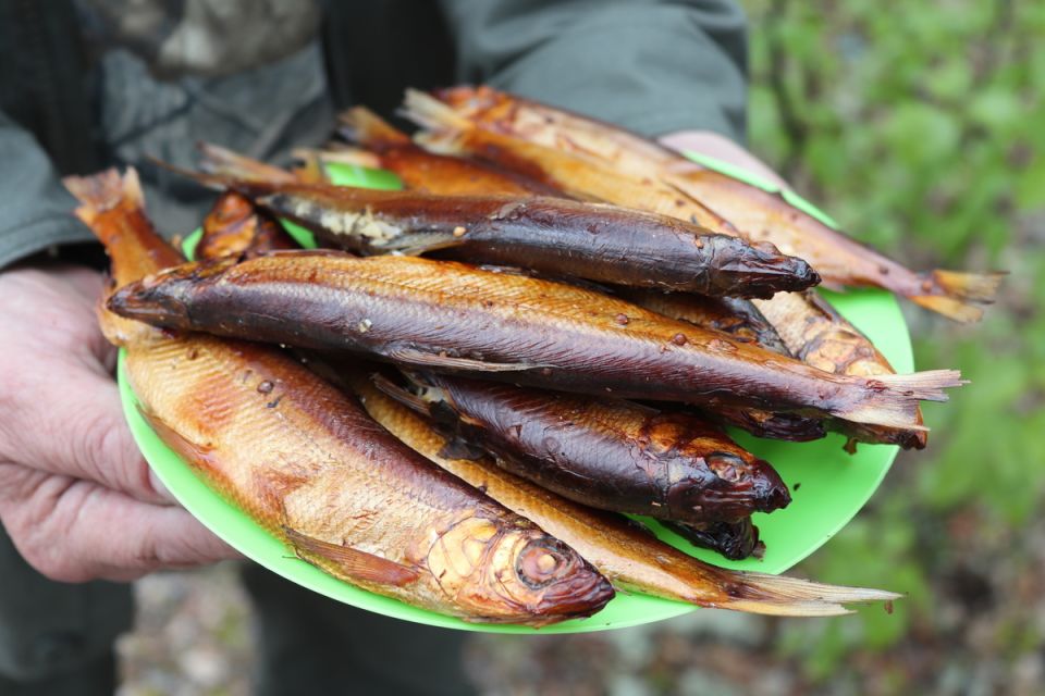 Ряпушка домашнего копчения: удивительный рецепт для истинных гурманов