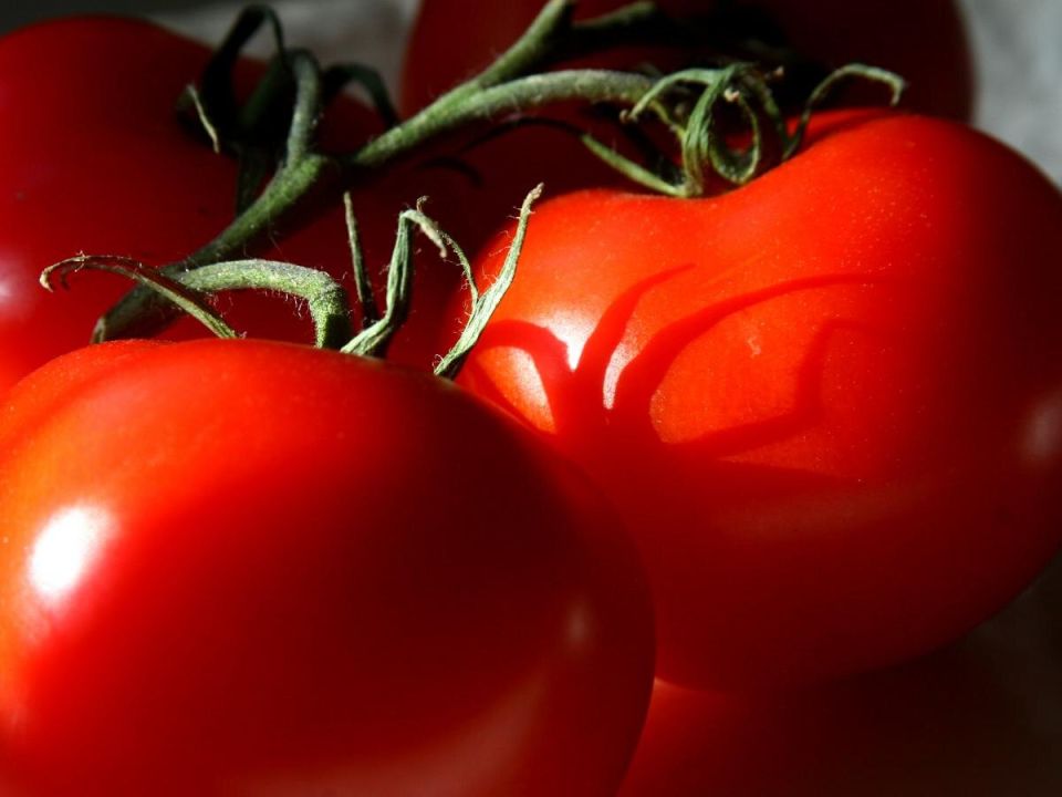 Идеальный урожай: как избежать трещин на домашних помидорах